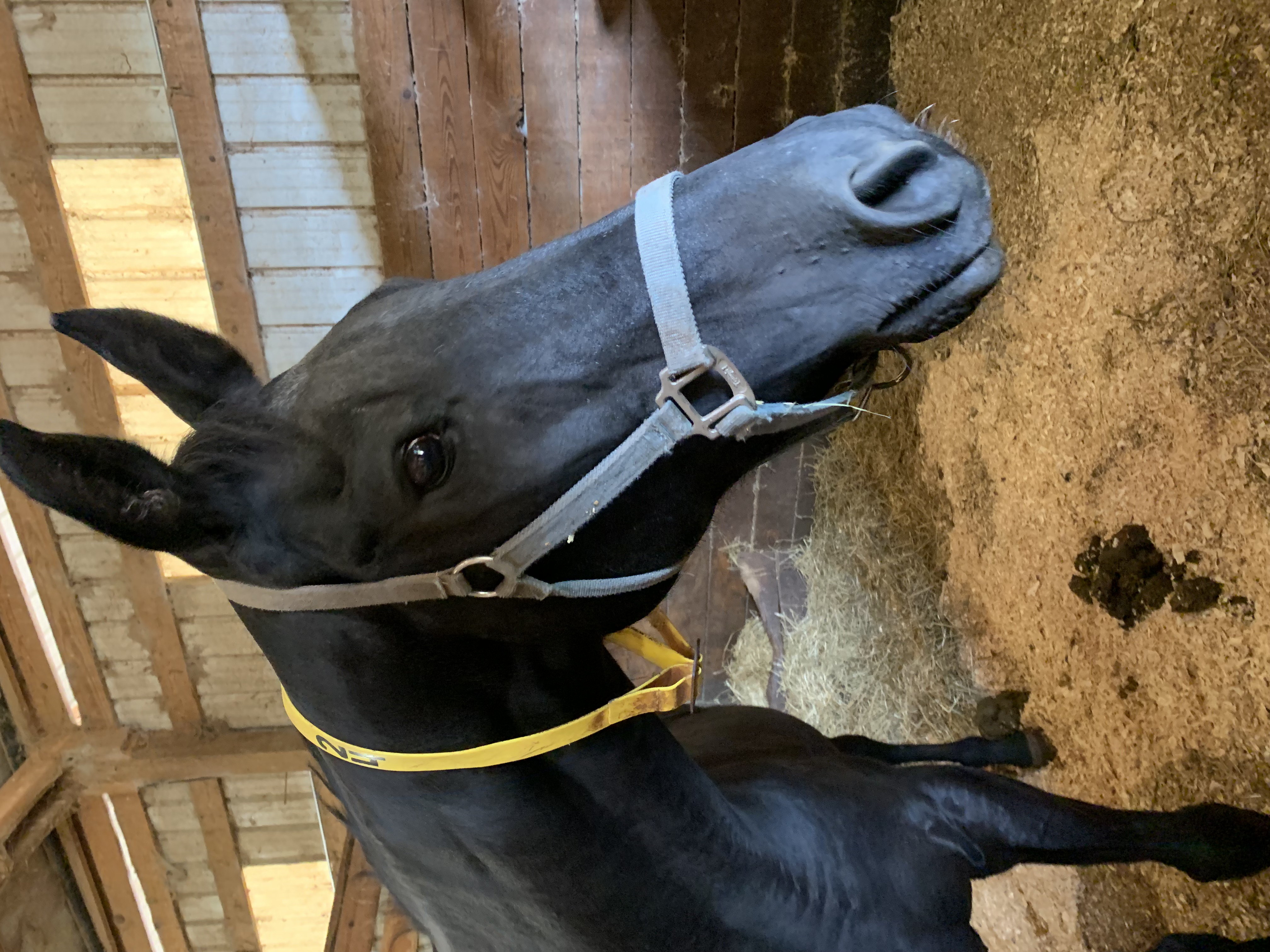 ./2021/07 - Southern Cross/IMG_5492.JPG